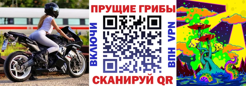 KRAKEN зеркало Черемхово Галлюциногенные грибы мухоморы